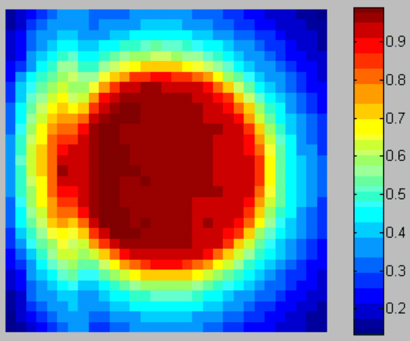 RAPT with bony shell