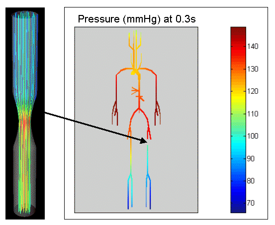 Coupled simulation results